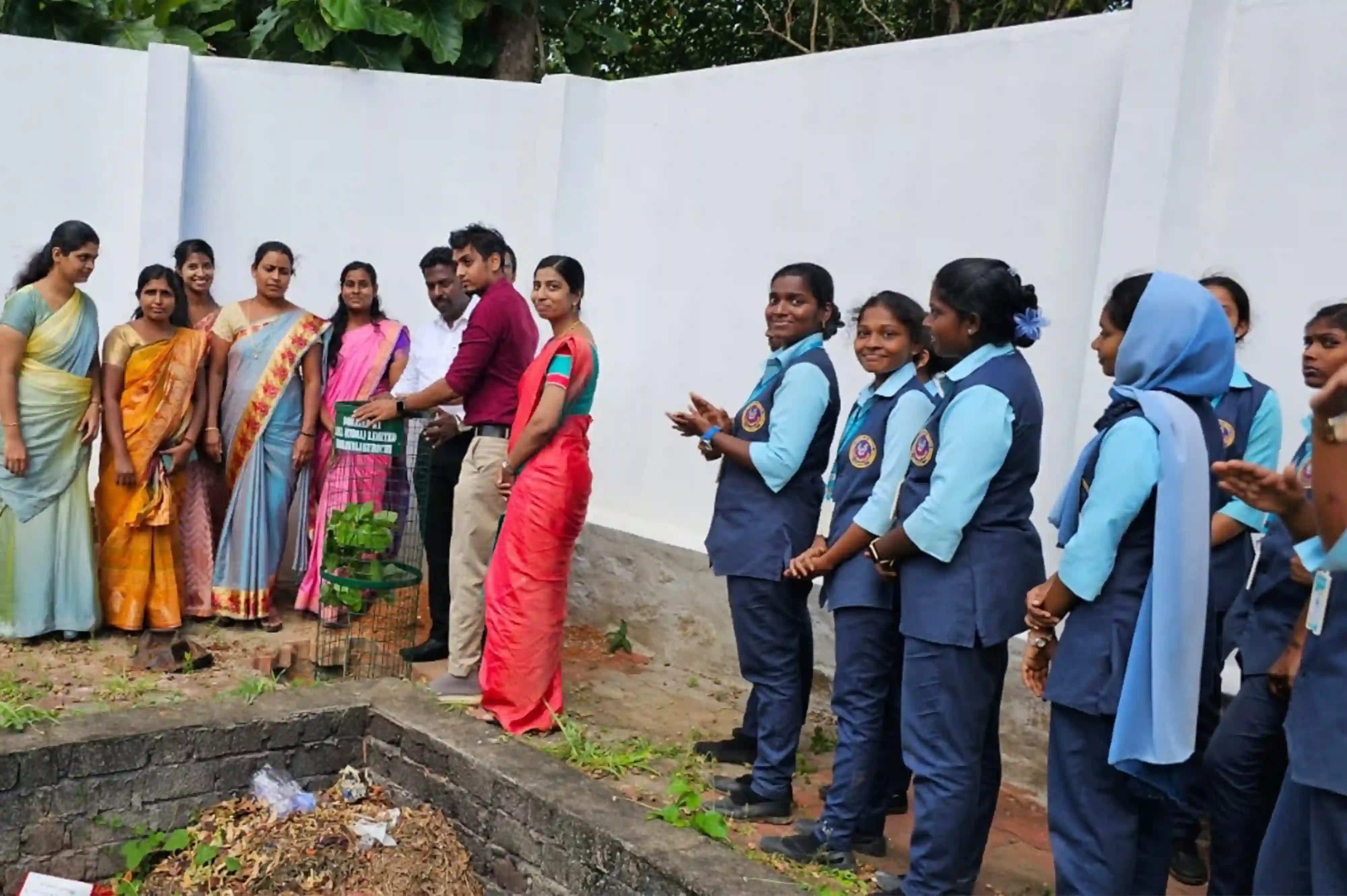 The Mega Plantation Programme